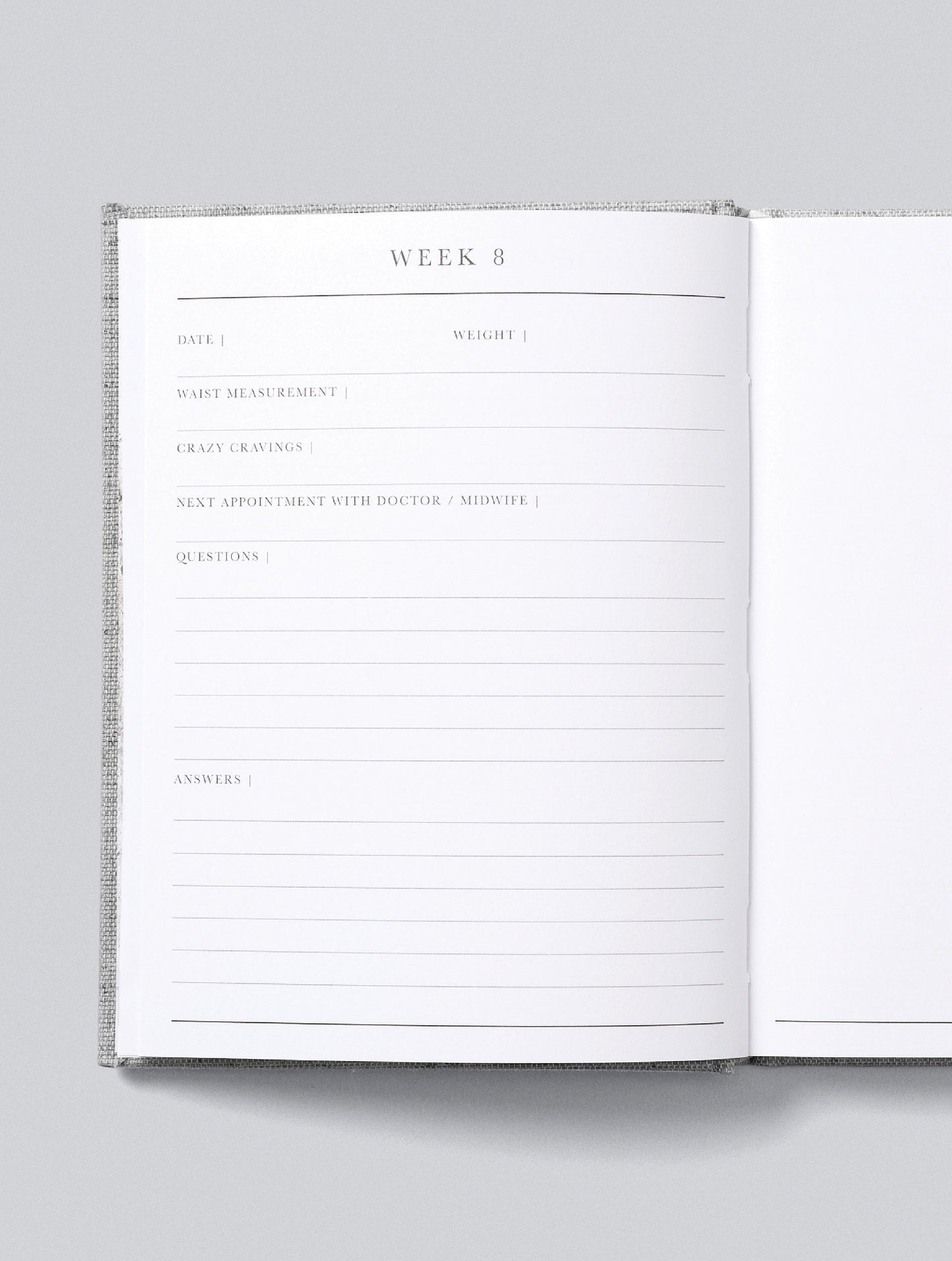 Bump Baby Journal