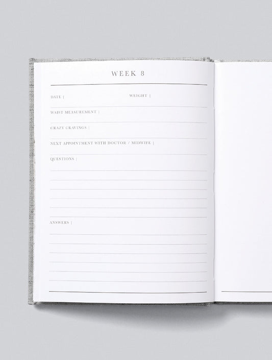 Bump Baby Journal