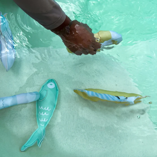 Dive Buddies Sammy The Seagull Multi Set Of 3