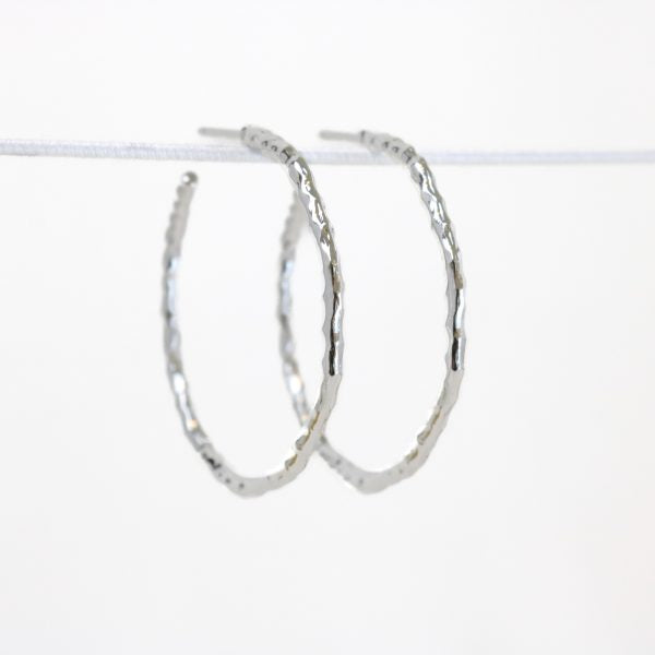 Aylin Earrings Silver