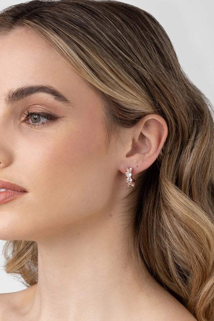 Vittoria Gold Cz Earring