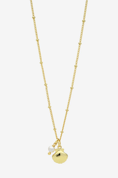 Coast Gold Necklace 