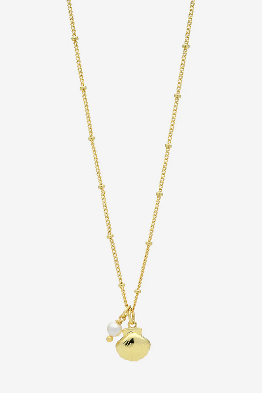 Coast Gold Necklace 