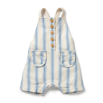 Blue Stripe Overall [sz:0-3 Months]