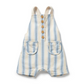Blue Stripe Overall [sz:0-3 Months]