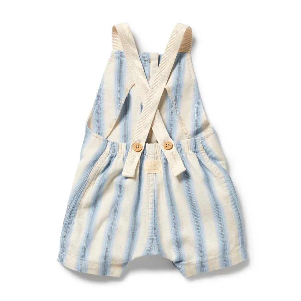 Blue Stripe Overall [sz:0-3 Months]