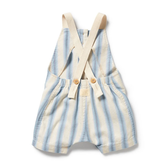 Blue Stripe Overall [sz:0-3 Months]