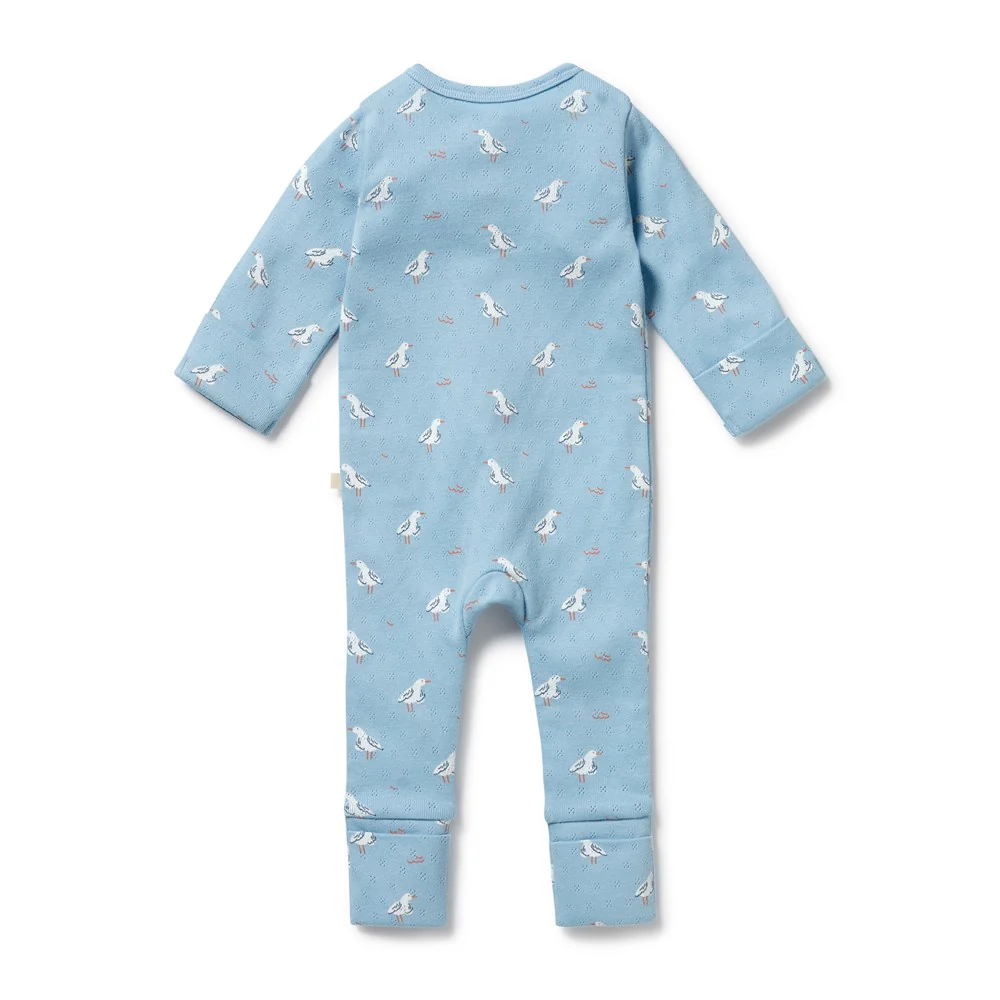 Sunny Seagulls Pointelle Zipsuit [sz:newborn]