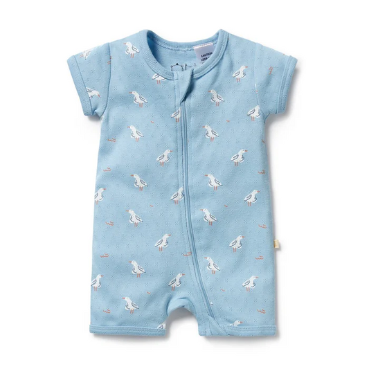 Sunny Seagull Boyleg Zipsuit 0-3m [sz:0-3 Months]