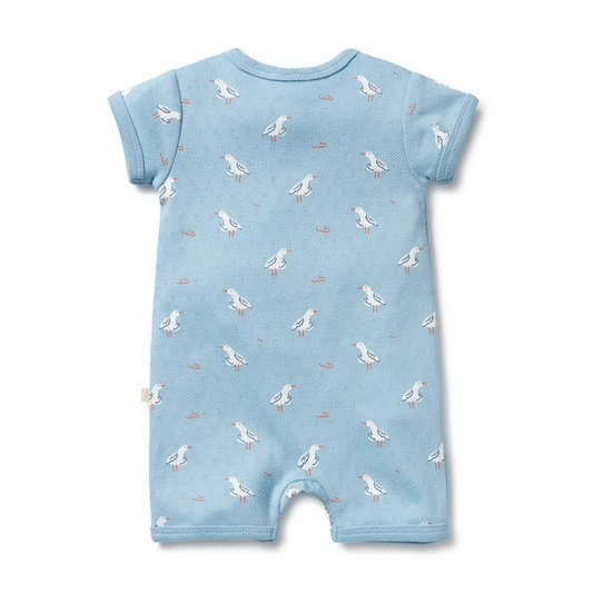 Sunny Seagull Boyleg Zipsuit 0-3m [sz:0-3 Months]