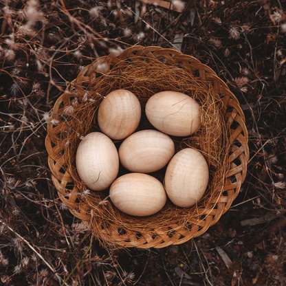 6 Wooden Eggs