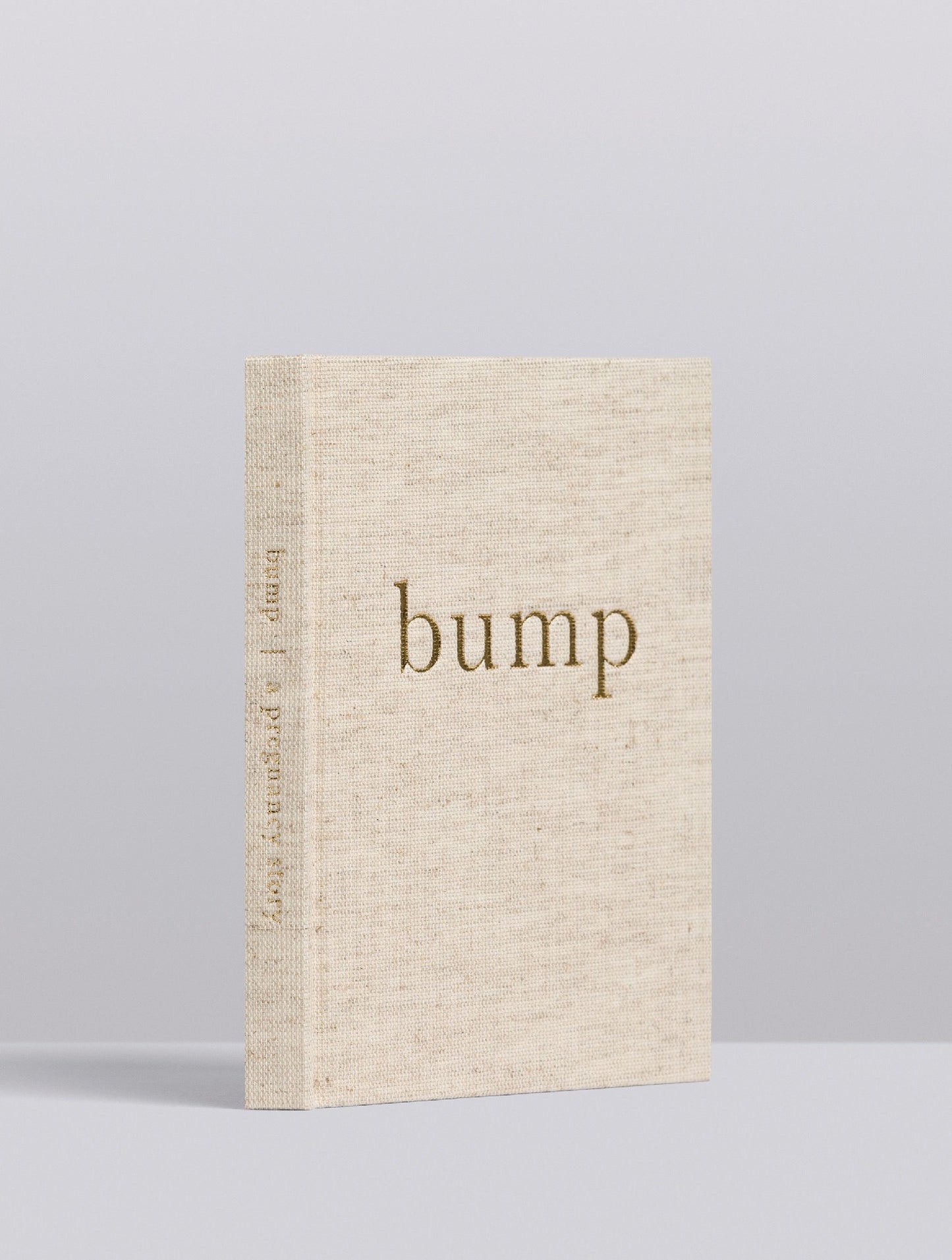 Bump Baby Journal