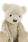 Theo The Bear 