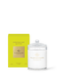 380g Candle Montego Bay Rhythm